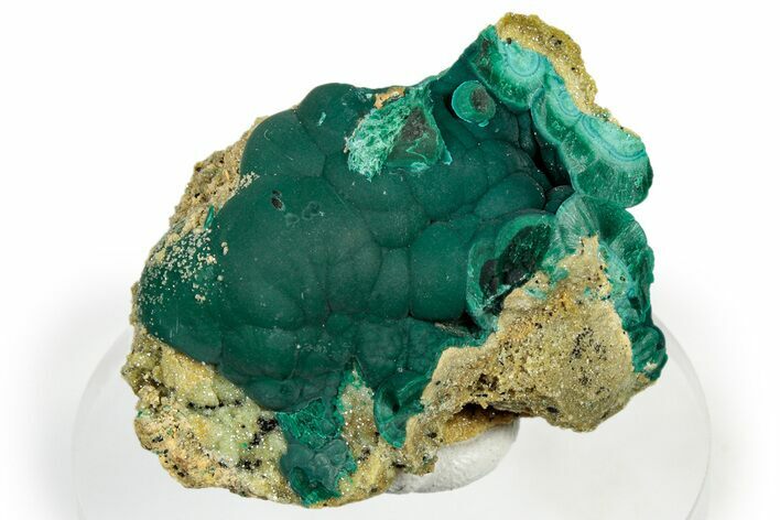 Botryoidal Green Malachite on Sparkling Smithsonite - Congo #303856